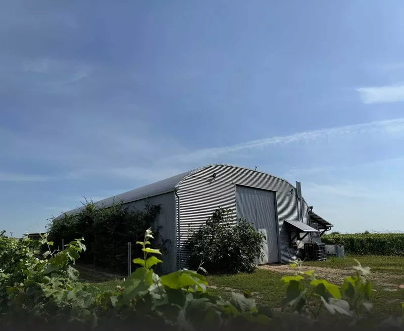 Як майстерня з легких сталевих портальних рам може змінити ваше промислове будівництво?